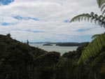 Auckland