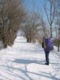 Pas de boue sur le sentier