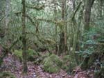 Promenade sur le causse