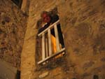 Coucou Gaston