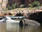 Baignade à Katherine Gorge