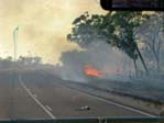 Bush fire
