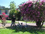 Cycliste
