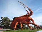 Langouste de Kingston SE