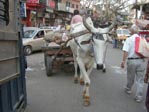 Varanasi