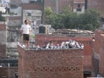 Dresseur de pigeons - Delhi